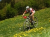 wiese_1 wiese_1