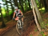 sabine_wald_1 sabine_wald_1
